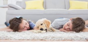 steam cleaning carpets