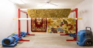 Gainesville Carpet Cleaner