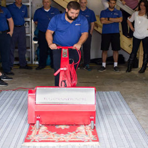 Gainesville Area Rug Cleaning Services