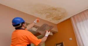 gainesville mold cleaning