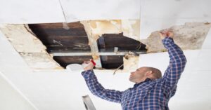 gainesville mold cleaning