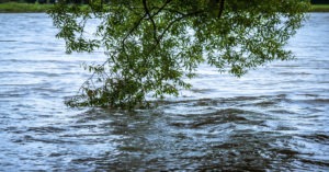 gainesville floods