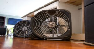gainesville drying