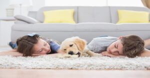 gainesville rug cleaning
