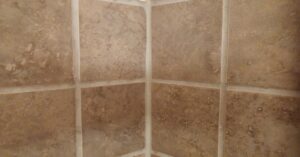 gainesville tile cleaning