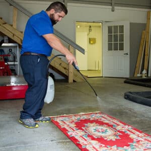 best rug cleaning service