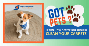 How Often Should Clean Carpets