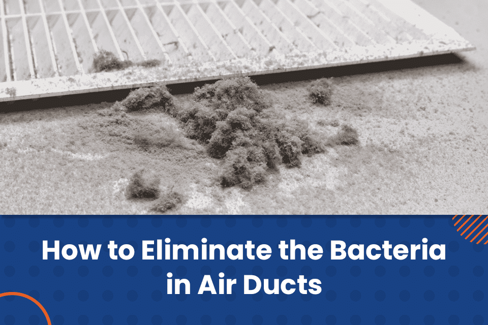 bacteria in air ducts