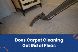 does carpet cleaning get rid of fleas