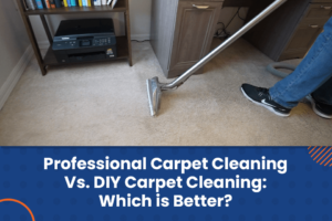 professional carpet cleaning vs diy carpet cleaning