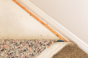 mold in carpet