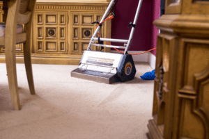 carpet cleaning for allergies
