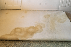 dirty carpet