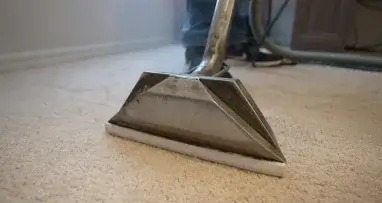 Gainesville carpet restoration