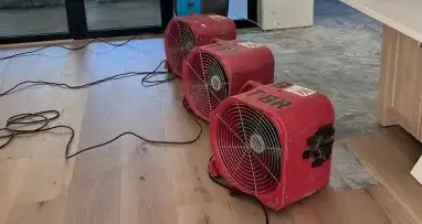 Gainesville restoration