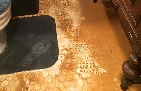 flood-damage-cleanup